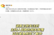 娱乐吃瓜开场白,揭秘明星们的“吃瓜”时刻